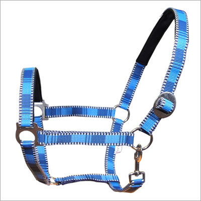 Horse Halter - Nylon, Weanling to Draft Size, Blue | Buckle Fasteners, Secure Fit, Durable Material