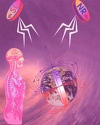 Magnetic Therapy Magnets