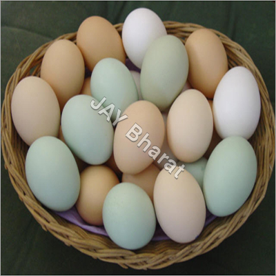 Fresh Eggs