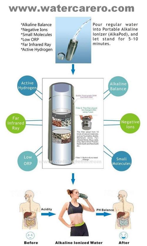 जल शुद्धिकरण-जल शुद्धिकरण निर्माता, भारत में जल शुद्धिकरण