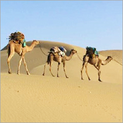Rajasthan Tour Packages