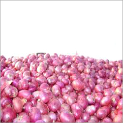 Onion