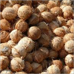 Coconuts