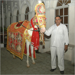 Ghodi Services