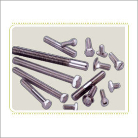Stainless Screws