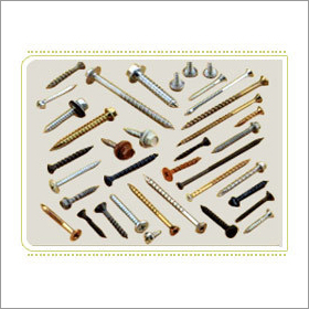 Stainless Steel Screw