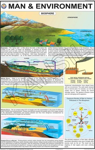 Man & Environment Chart
