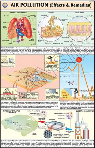 Air Pollution (Effects & Remedies) Chart