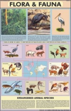 Printed In Natural Colors Flora & Fauna Chart at Best Price in New Delhi |  N. C. Kansil & Sons
