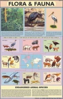 Flora & Fauna Chart