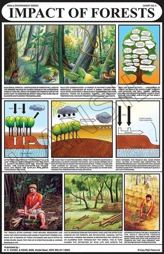 Printed In Natural Colors Impacts Of Forests Chart