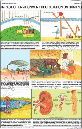 Impact of Environment Degradation on Humans Chart