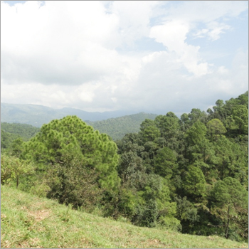 Land Development