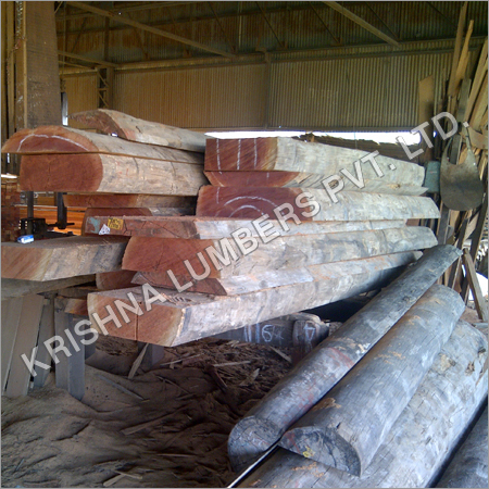 Kapur Timber Wood