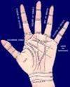 Palmistry