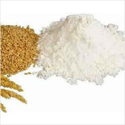 Wheat Flour