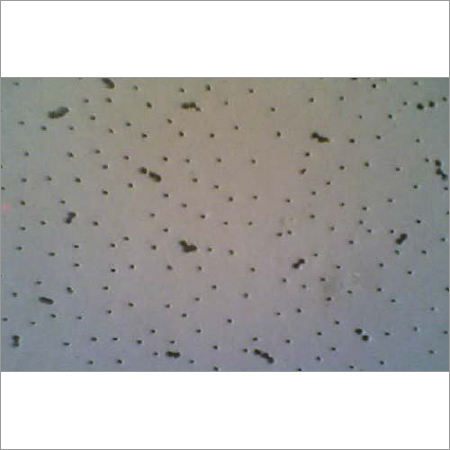 Gypsum Board