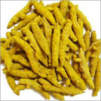 Finger Turmeric