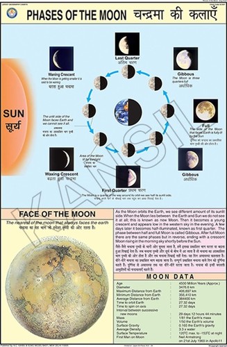 Phases of the Moon Chart Manufacturer, Supplier, Exporter from New Delhi