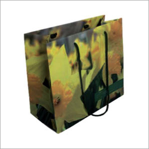Paper Bag Rope Handle
