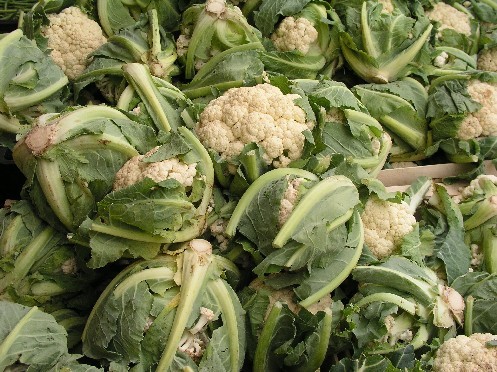Cauli Flowers