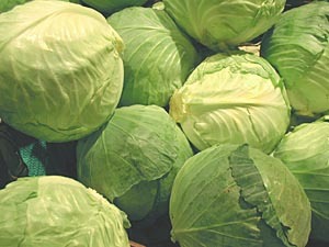 Cabbage