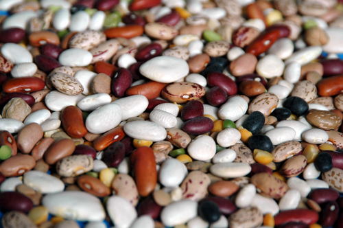Beans Seeds