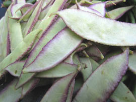 Fresh Beans