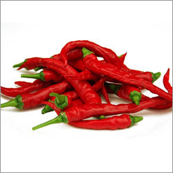Dry Red Chilly