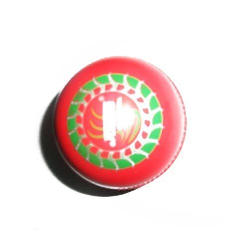 Cricket EVA Ball 