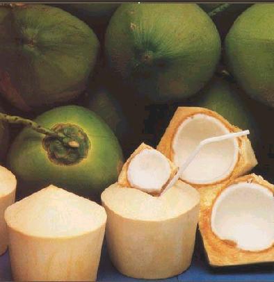 Tender Coconut