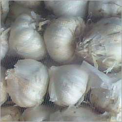 Dried Garlic