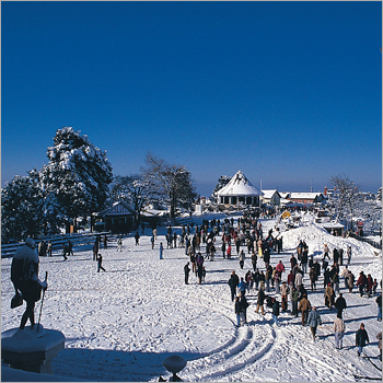 Shimla Manali Tour Packages