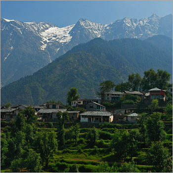 Himachal Tour Operators