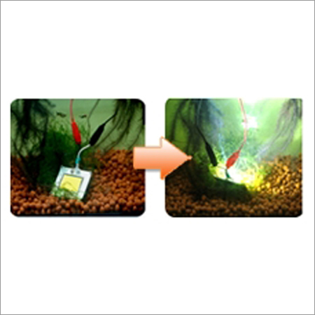 LED High Power Module