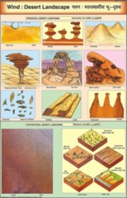 Wind Desert Landscape Chart