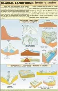 Educational Charts Manufacturer, Scientific Model Supplier, Exporter