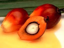Palm oil