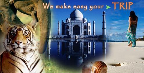 Tour Operator Services