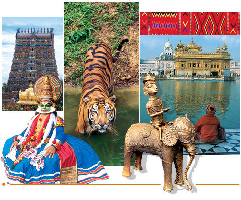 Tour Travel Services