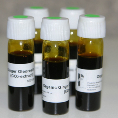 Ginger Extract 30% VO