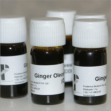 Ginger Oleoresin
