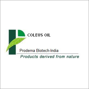 Coleus Oil
