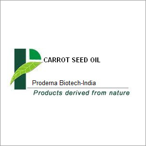 Carrot Seed Oil