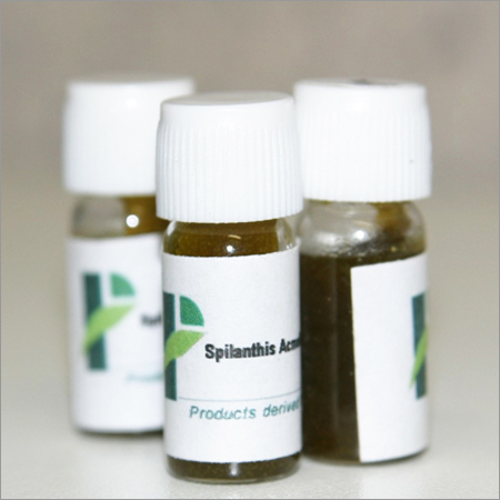Spilanthis Acmella Total Extract