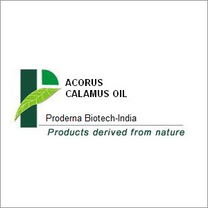 Acrous Calamus Oil