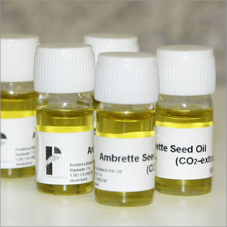 Ambrette Seed Oil