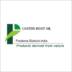 Costus Root Oil