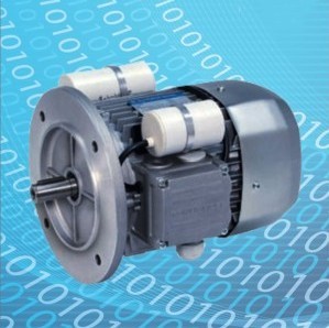 Grey Single Phase Induction Motor