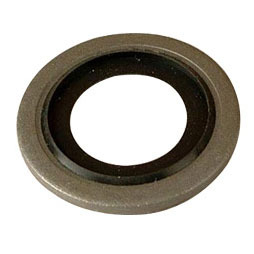 Dowty seals